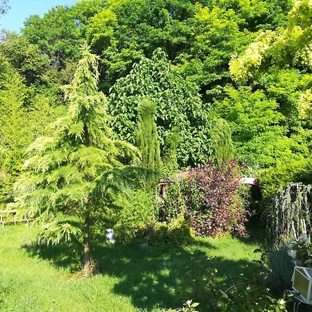 Apiculteur Loue 2 Chambres Dans Cadre Verdoyant Pagny-sur-Meuse Exteriér fotografie