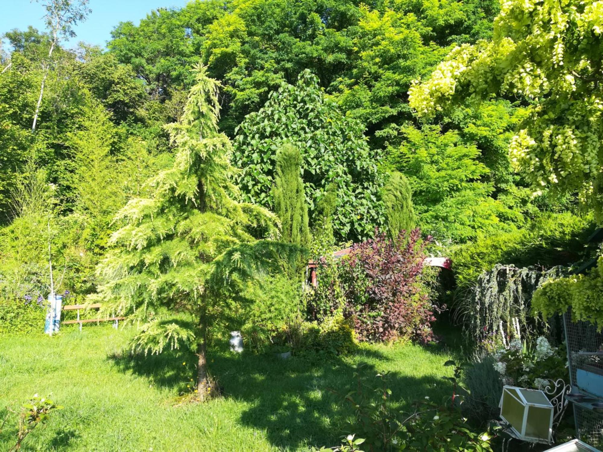 Apiculteur Loue 2 Chambres Dans Cadre Verdoyant Pagny-sur-Meuse Exteriér fotografie