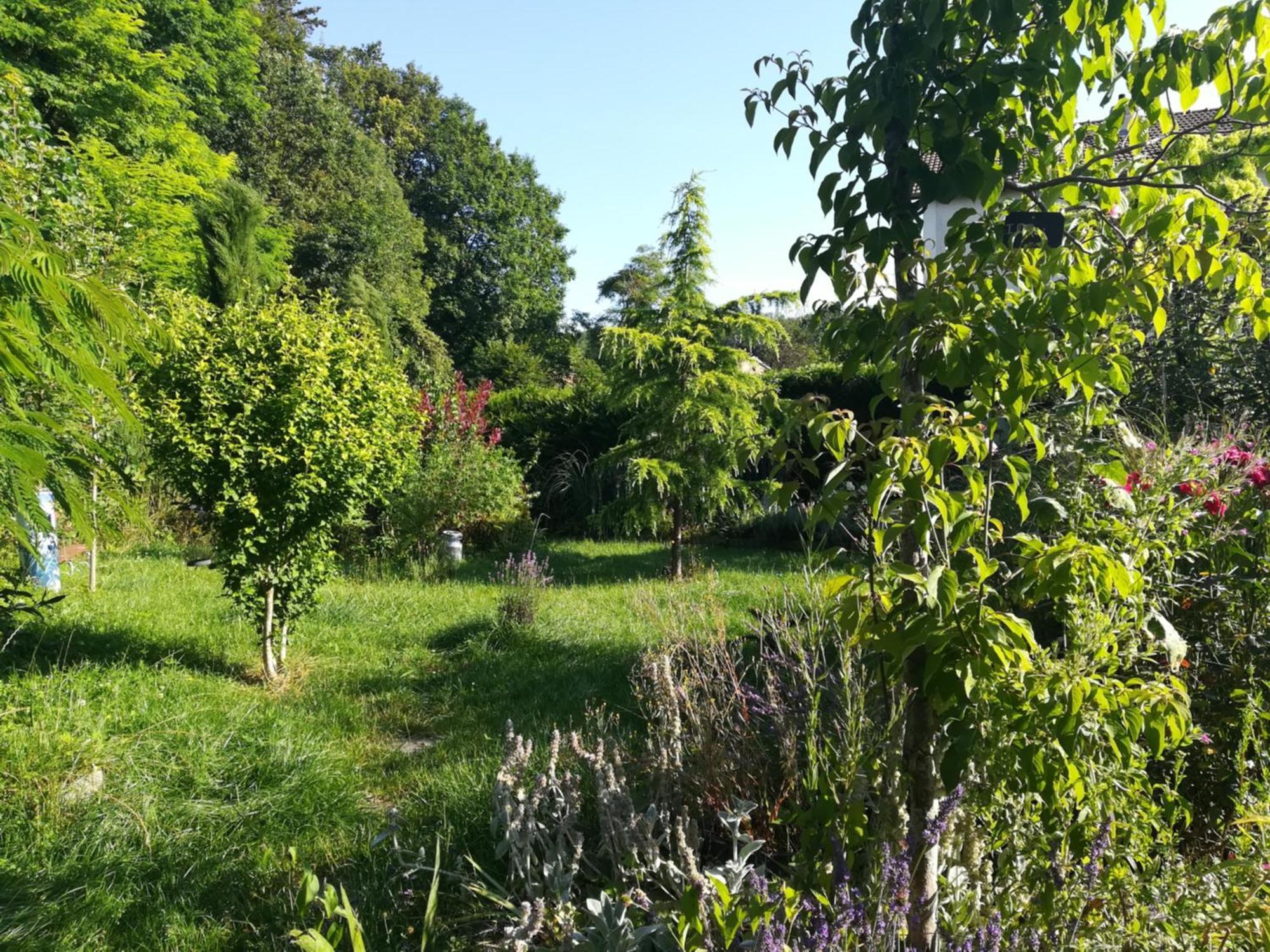 Apiculteur Loue 2 Chambres Dans Cadre Verdoyant Pagny-sur-Meuse Exteriér fotografie
